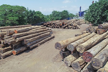 log yard